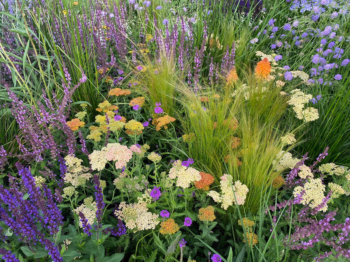 RHS Hampton Court Show 2023 show garden