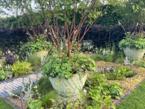 RHS Hampton Court Show 2023 show garden