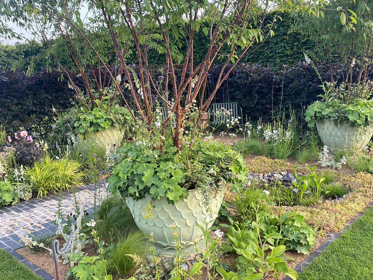 RHS Hampton Court Show 2023 show garden