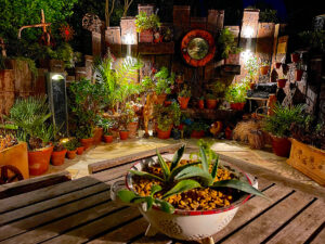 Night lighting at Driftwood