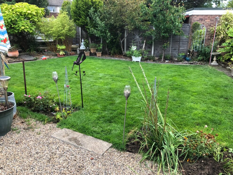 Adil Rajput - Richard Jackson Garden