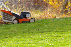 Mowing lawn in autumn