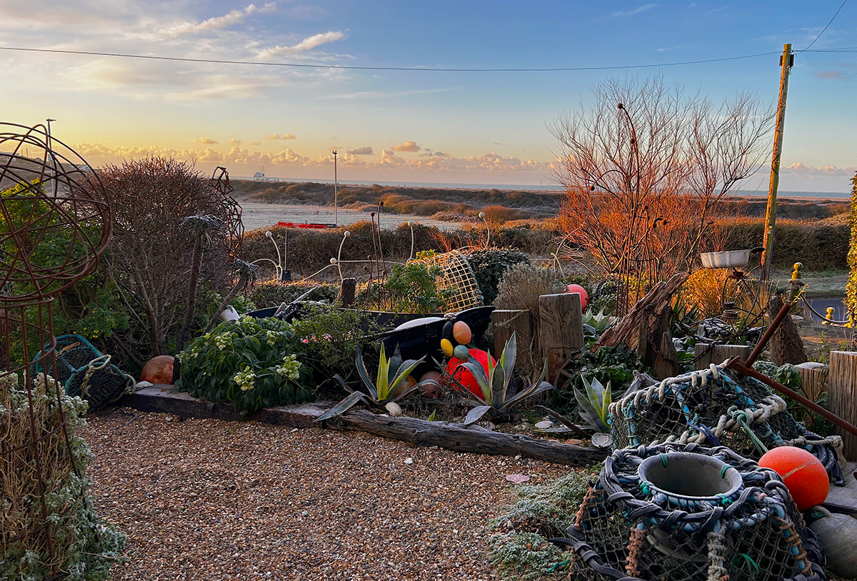Early morning sun at Driftwood garden