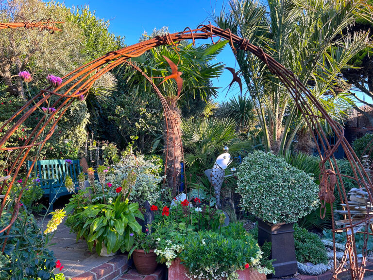 Driftwood Garden