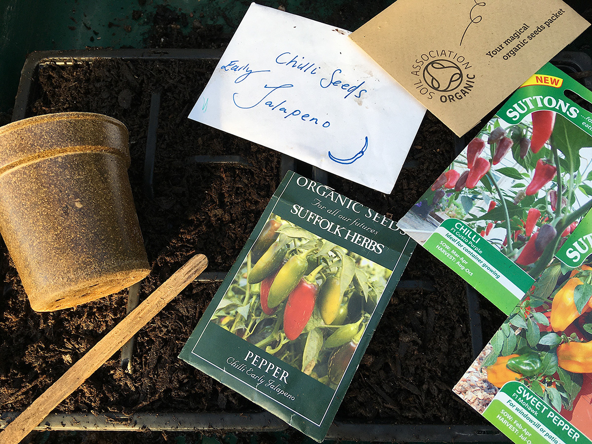 Seed sowing