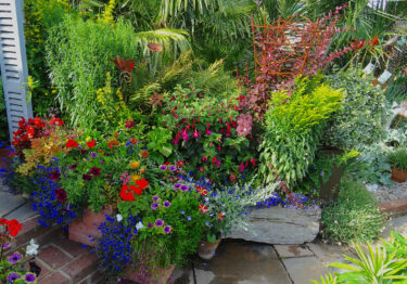 Driftwood Garden