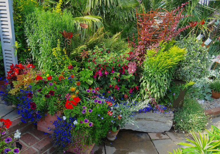Driftwood Garden