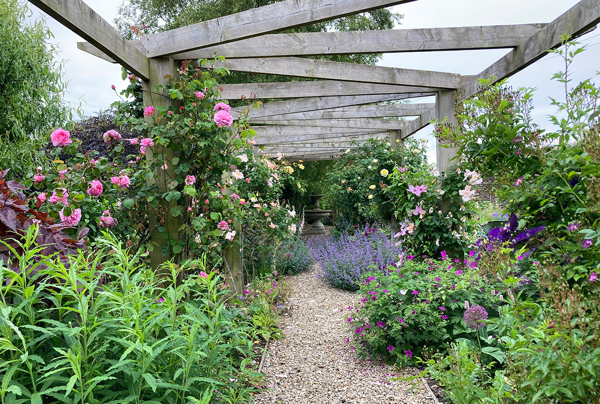 Rose lined border mixed with other plants