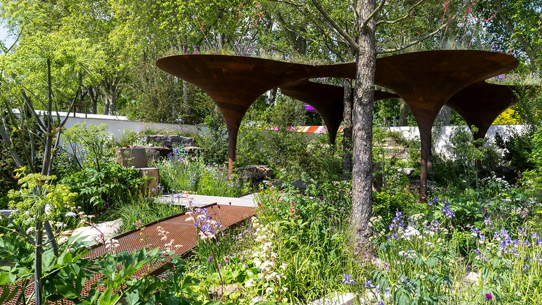 Chelsea Flower Show 2024