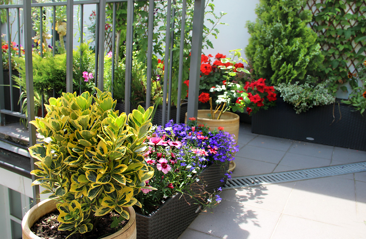 Balcony garden