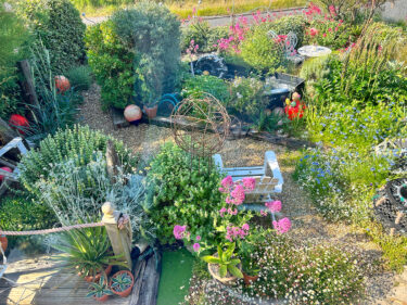 Driftwood beach garden