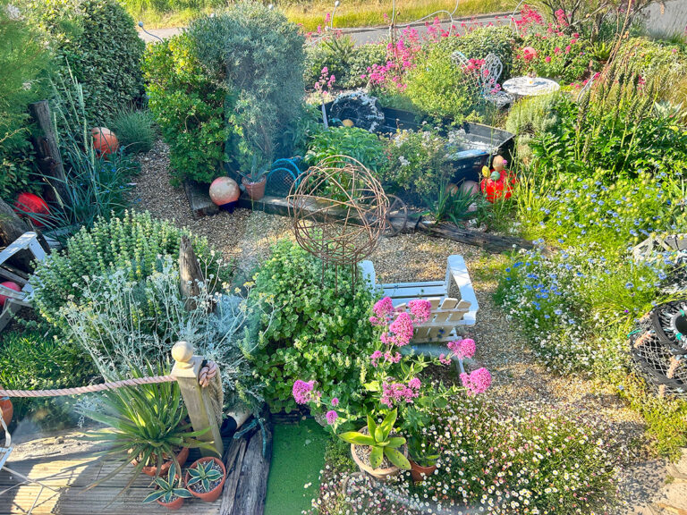 Driftwood beach garden