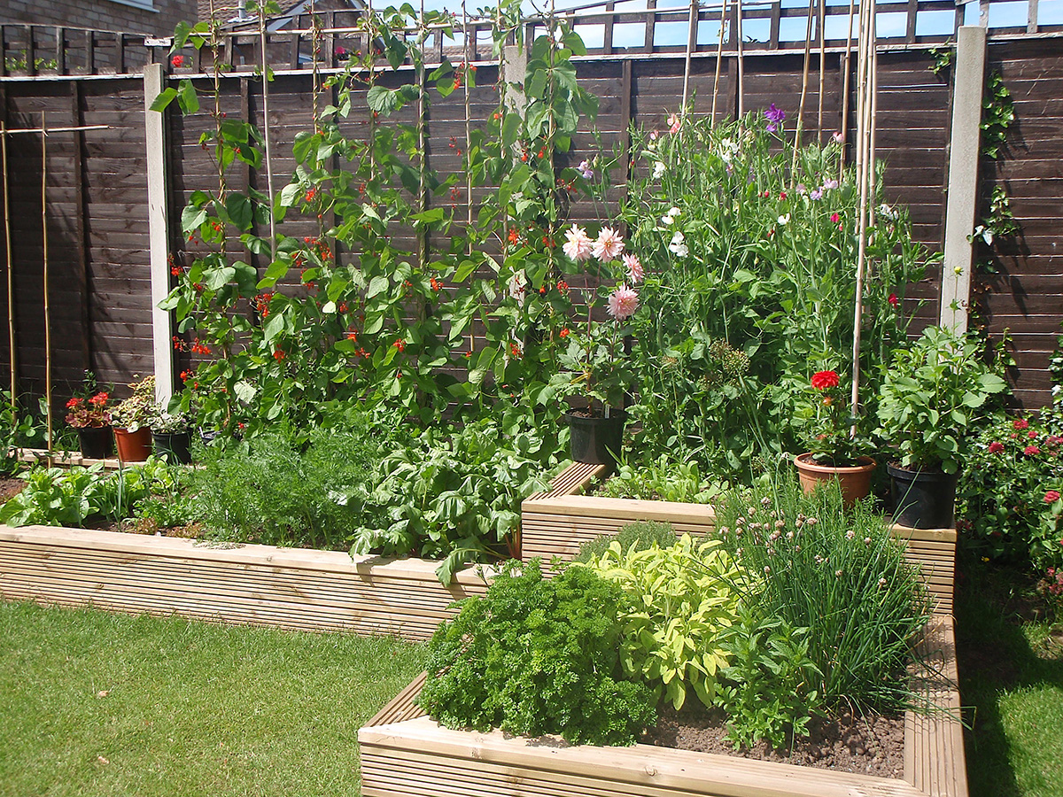 Kitchen garden