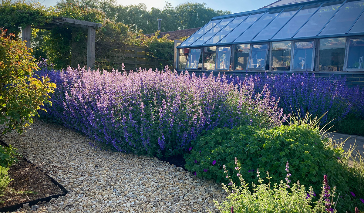 Mediterranean garden