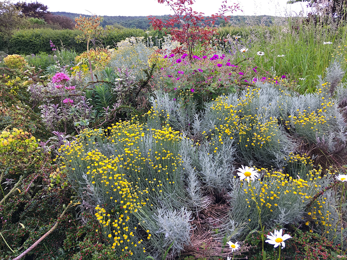 Wildlife garden