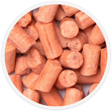 bird-food-berry-suet