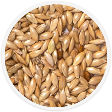 bird-food-canary-seed