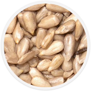 bird-food-sunflower-hearts