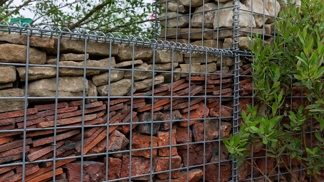 The Freedom to Flourish Garden Chelsea Flower Show 2025
