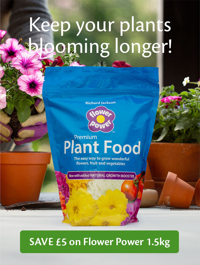 Save £5 on Flower Power 1.5kg