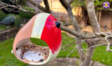 Bird-friendly garden video still