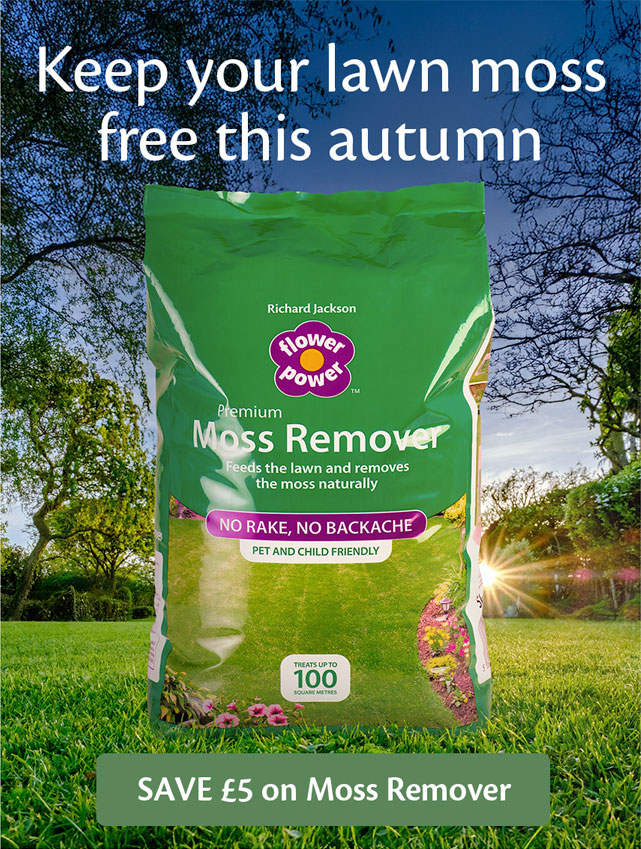 Save £5 on Moss Remover
