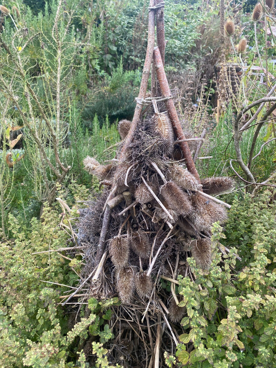 Habitat stack