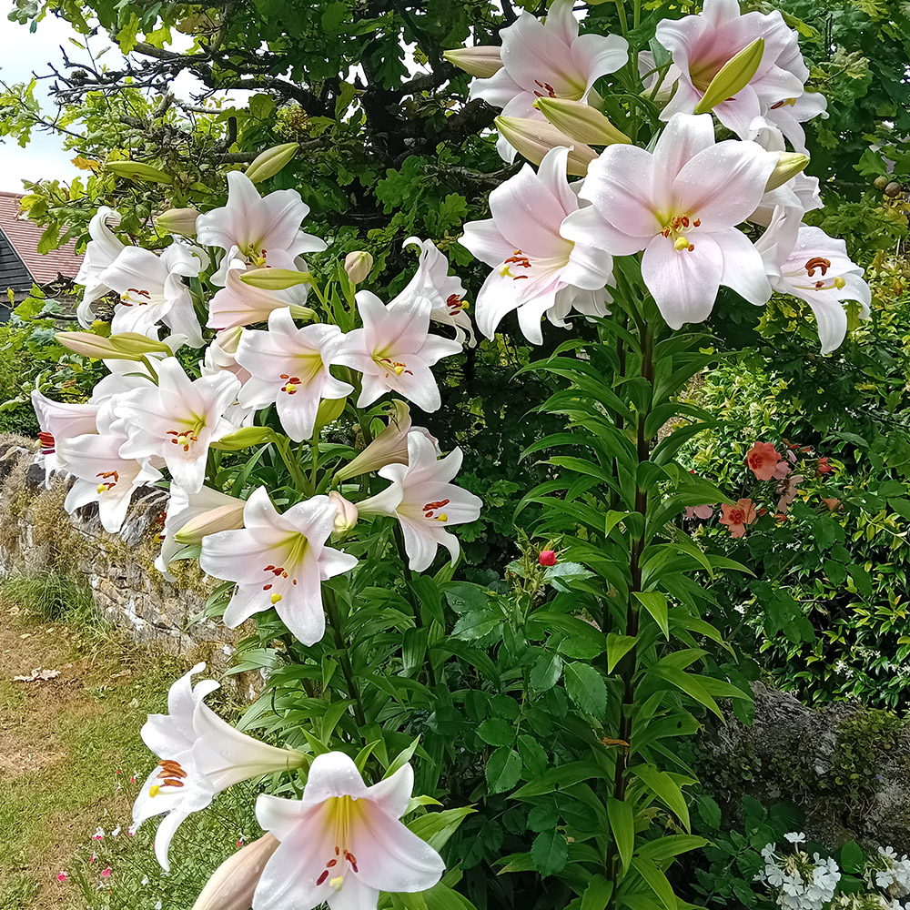 Photo Competition entry 2025