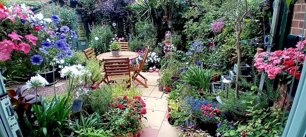 2025 Photo Competition winner pic from Jane Launders