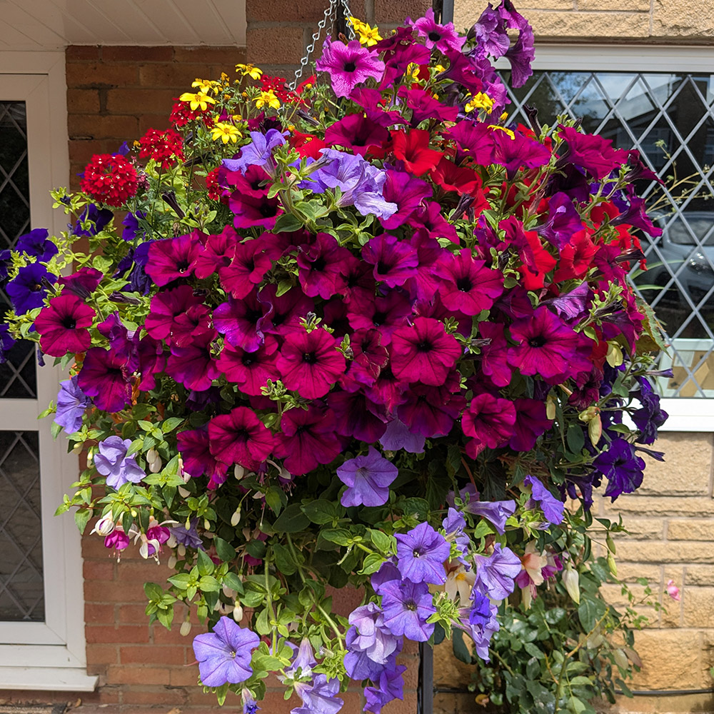 Photo Competition entry 2025