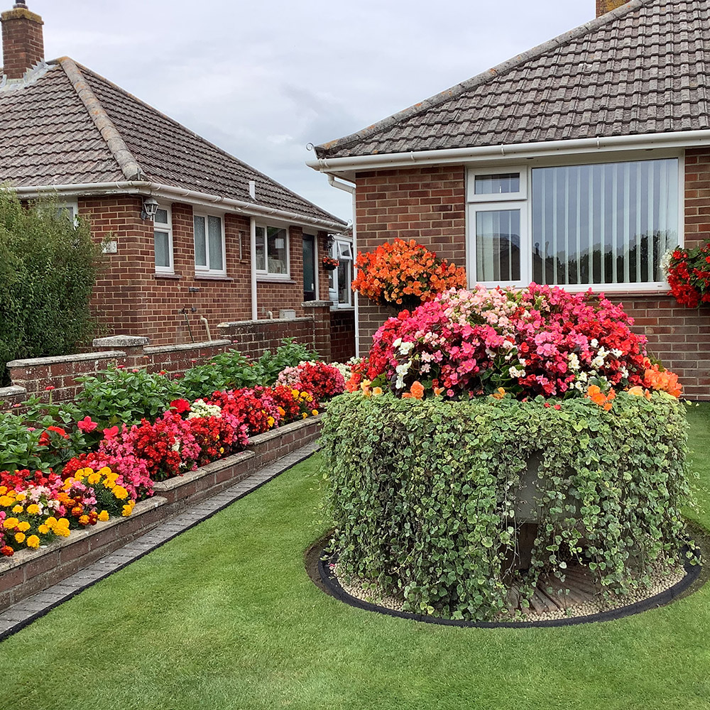 Photo Competition entry 2025