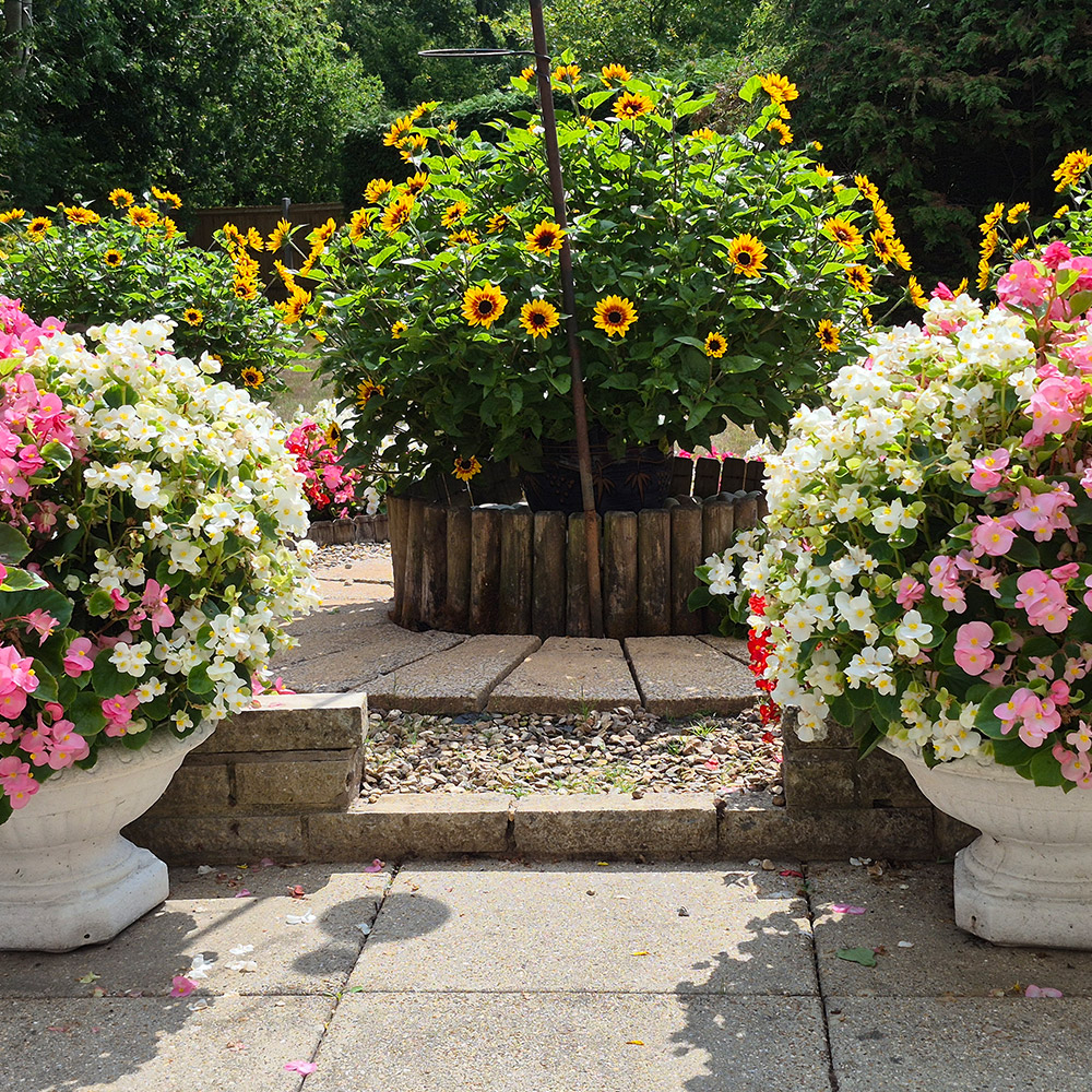 Photo Competition entry 2025