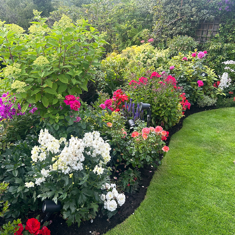 Photo Competition entry 2025