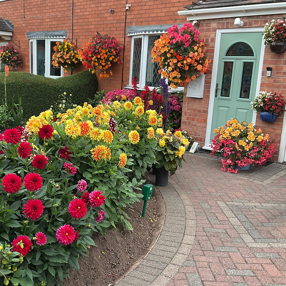 Photo Competition entry 2025