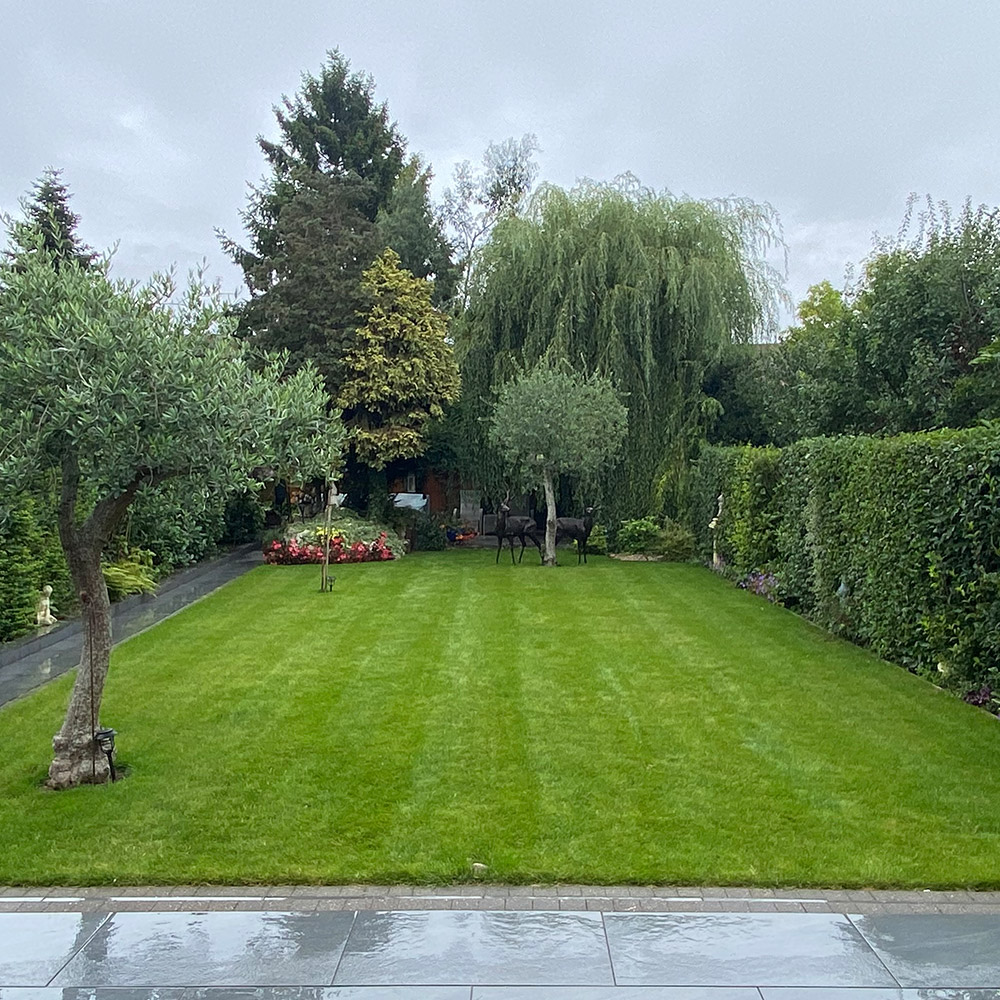 Photo Competition entry 2025