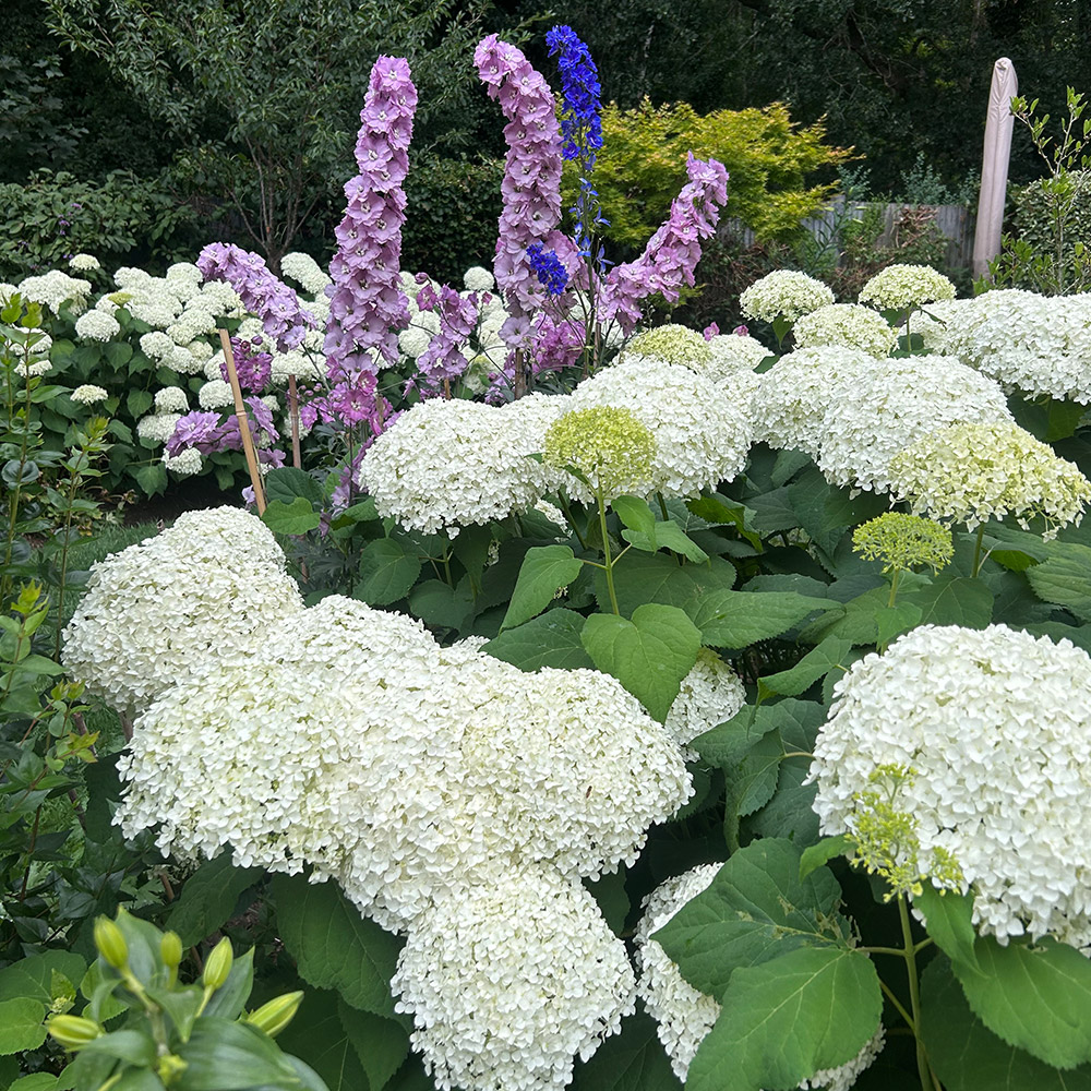 Photo Competition entry 2025