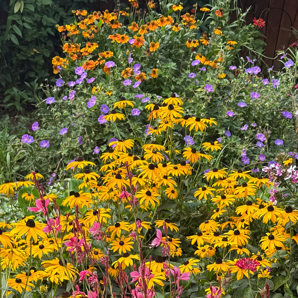 Photo Competition entry 2025