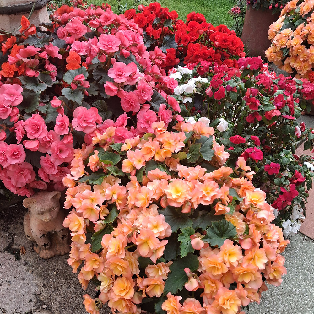 Photo Competition entry 2025