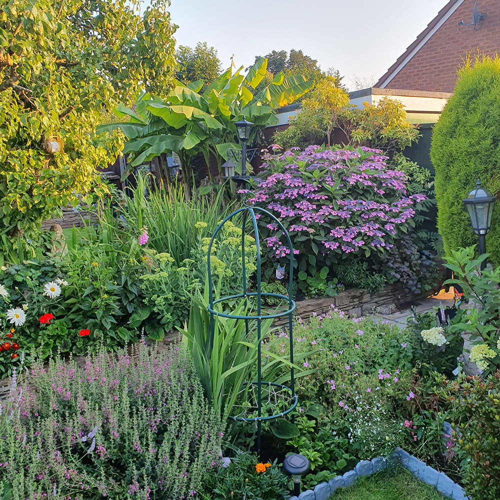 Photo Competition entry 2025