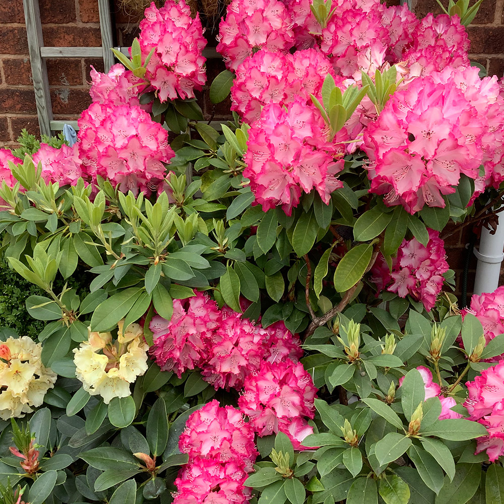 Photo Competition entry 2025