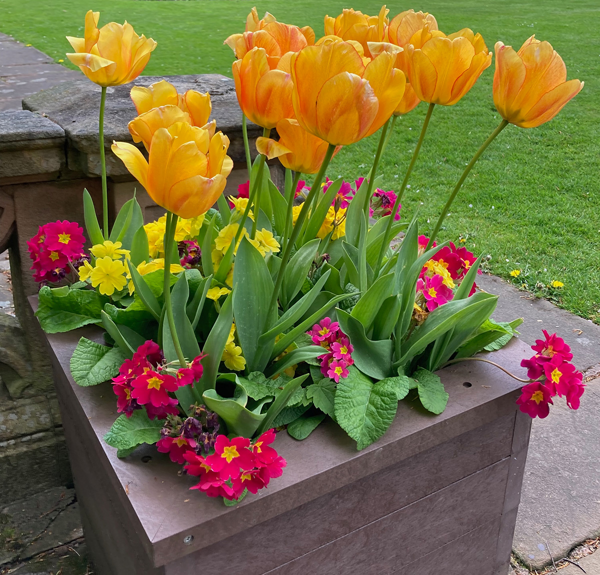 A mixed spring container