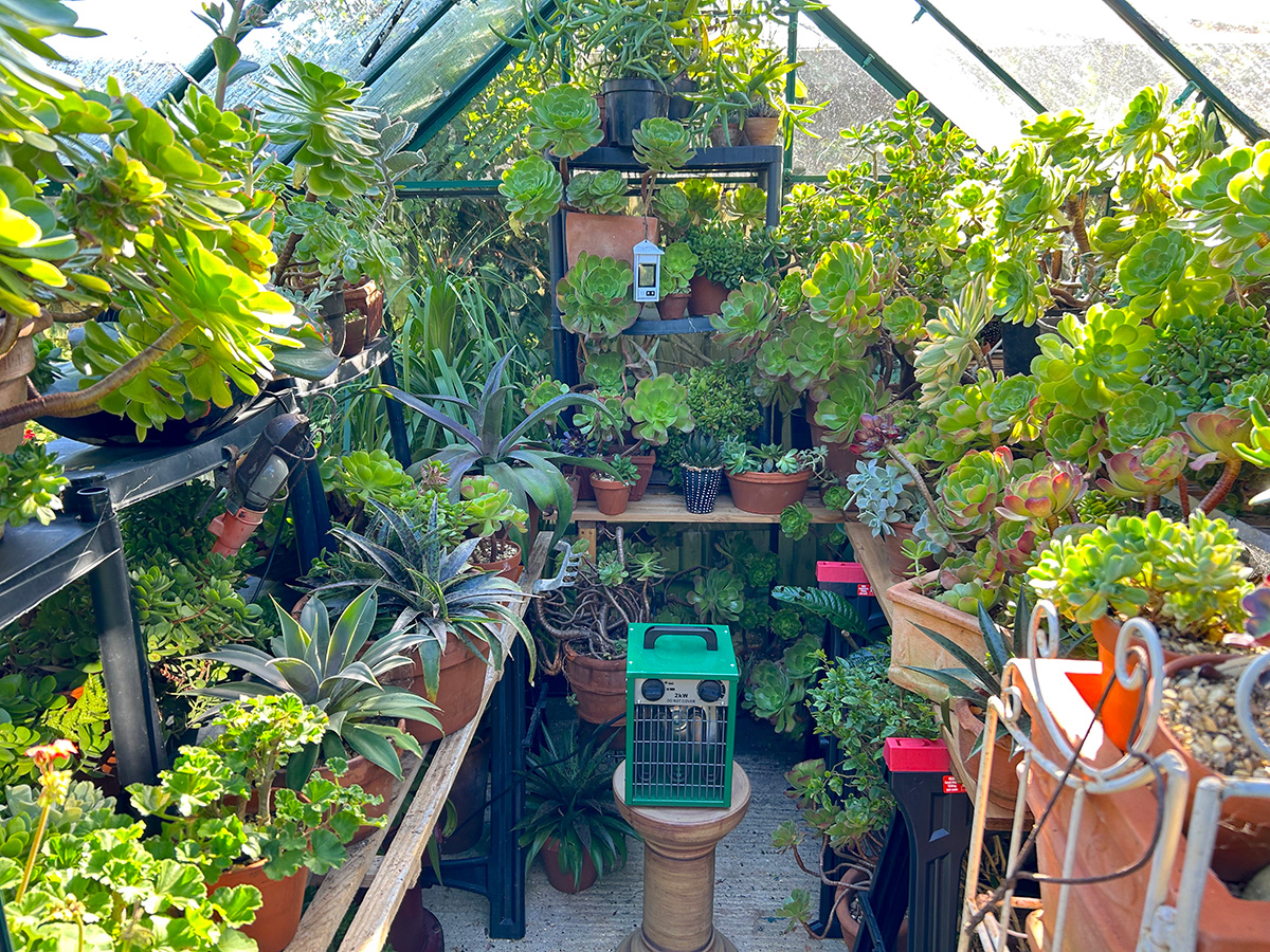 The heated greenhouse at Driftwood Garden
