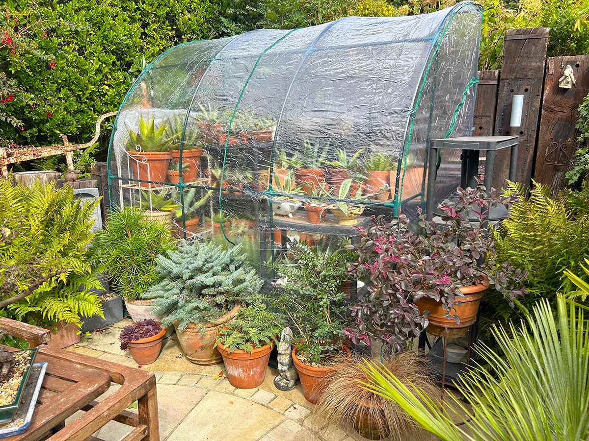 temporary greenhouse at Driftwood