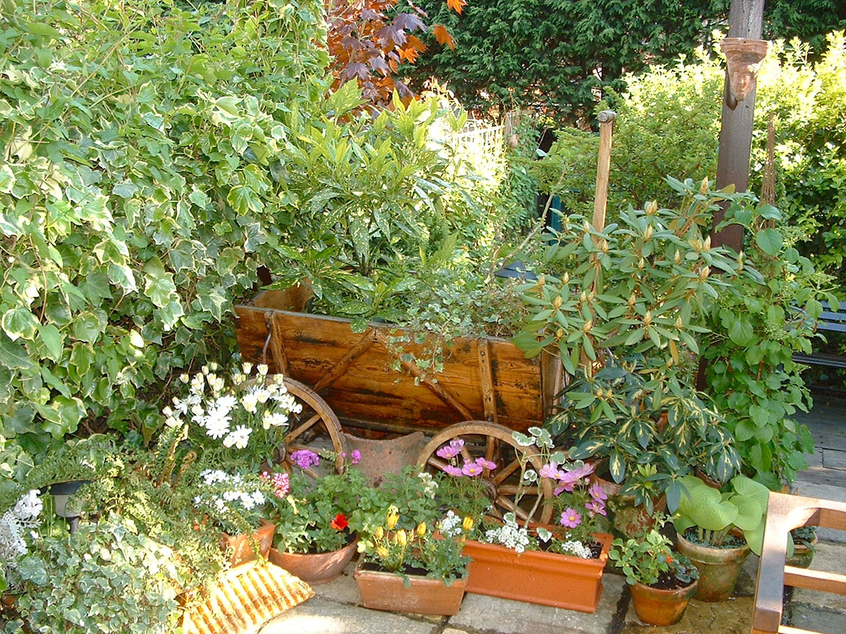 Geoff Stonebanks' garden in High Barnet