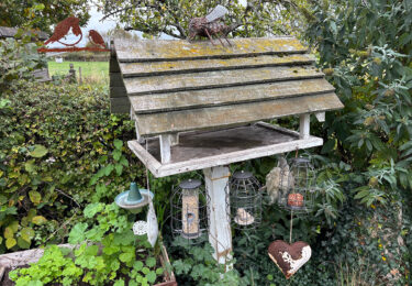 A variety of bird feeders hanging from a bird table