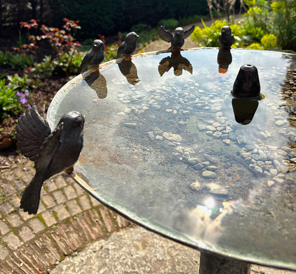 Add a water feature and keep the water clean