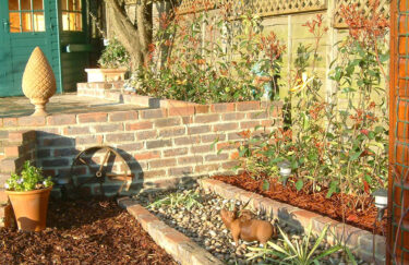 Photinia red robin planted as a hedge at Driftwood Garden