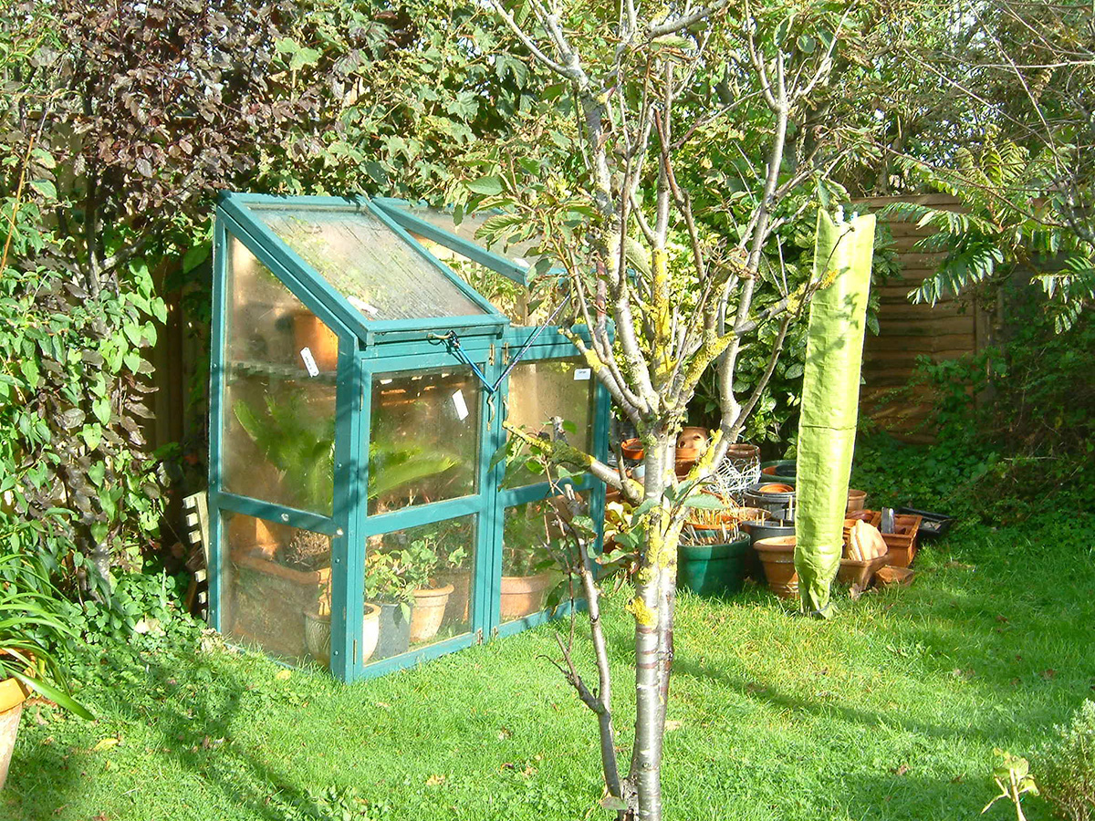 Wooden greenhouse at Driftwood garden