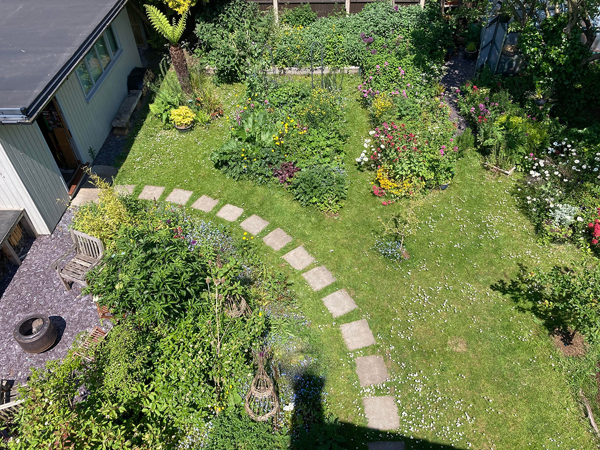 aerial shot of garden