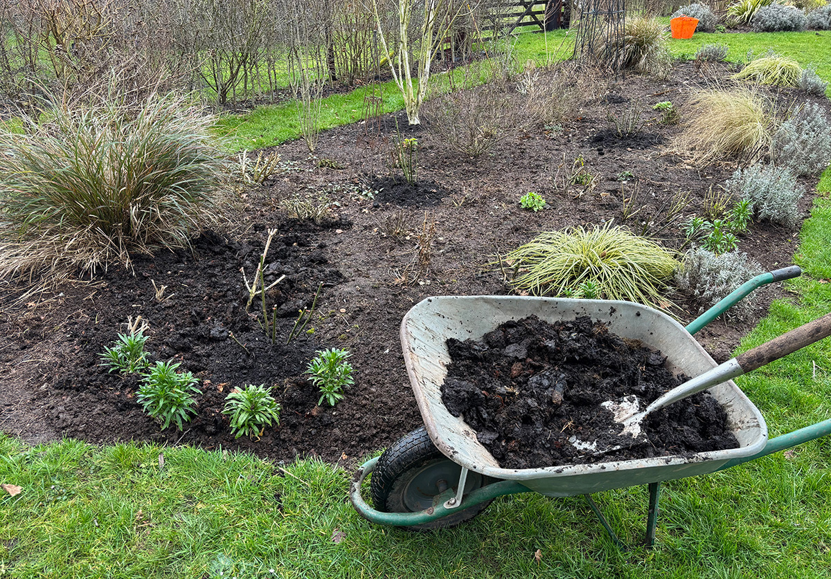 mulching a garden border